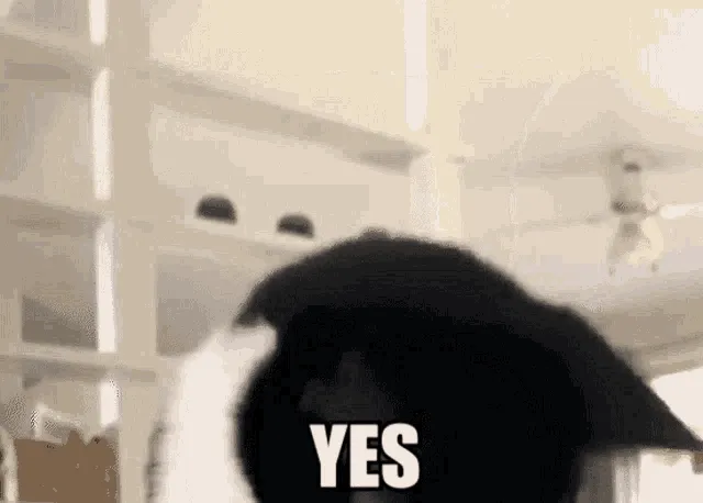 w6Agq.gif