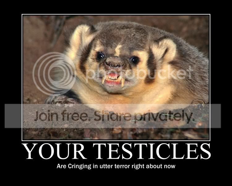honeybadger.jpg