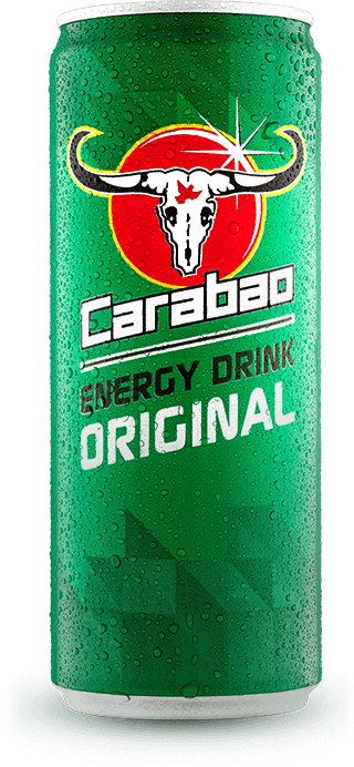 section01_can.png