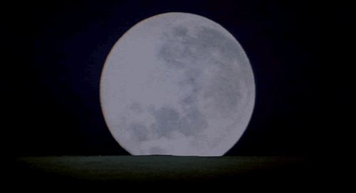 Q403.gif