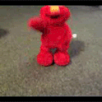 giphy.gif